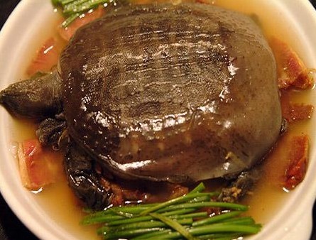 清蒸甲鱼